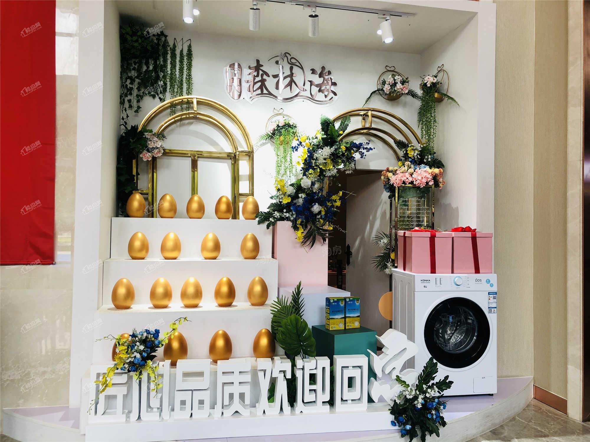 恒大森林海实景图