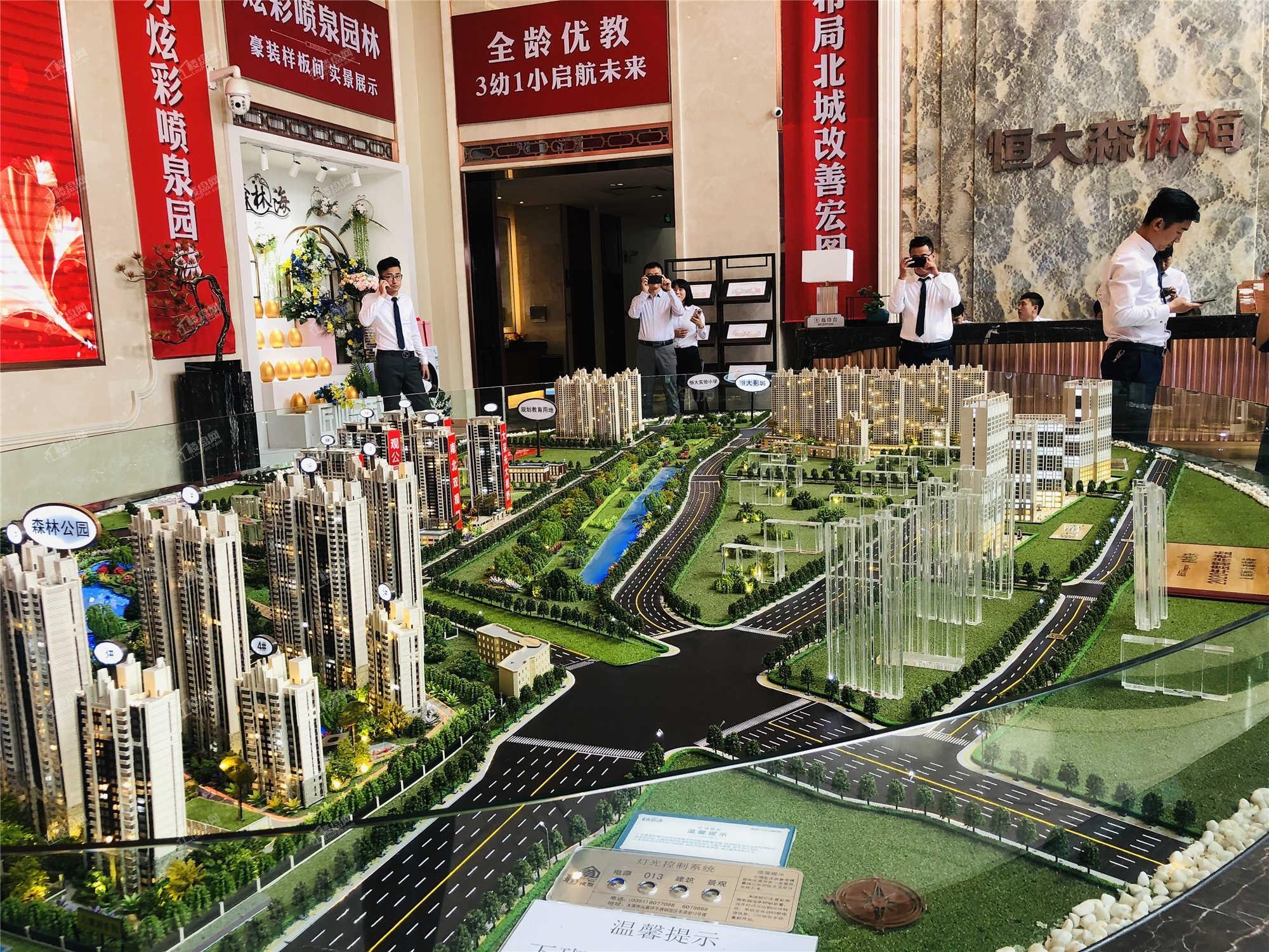 恒大森林海实景图