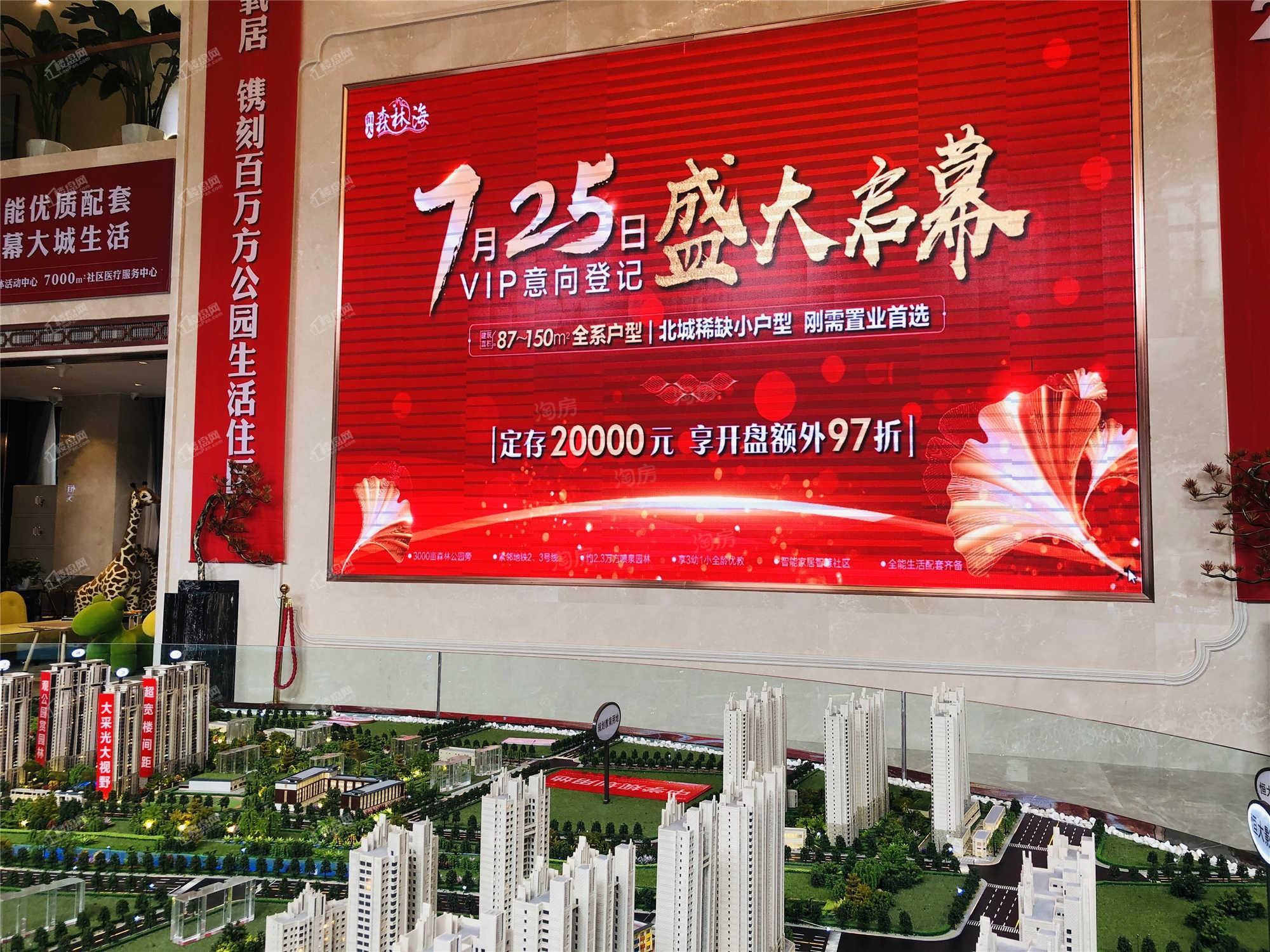 恒大森林海实景图