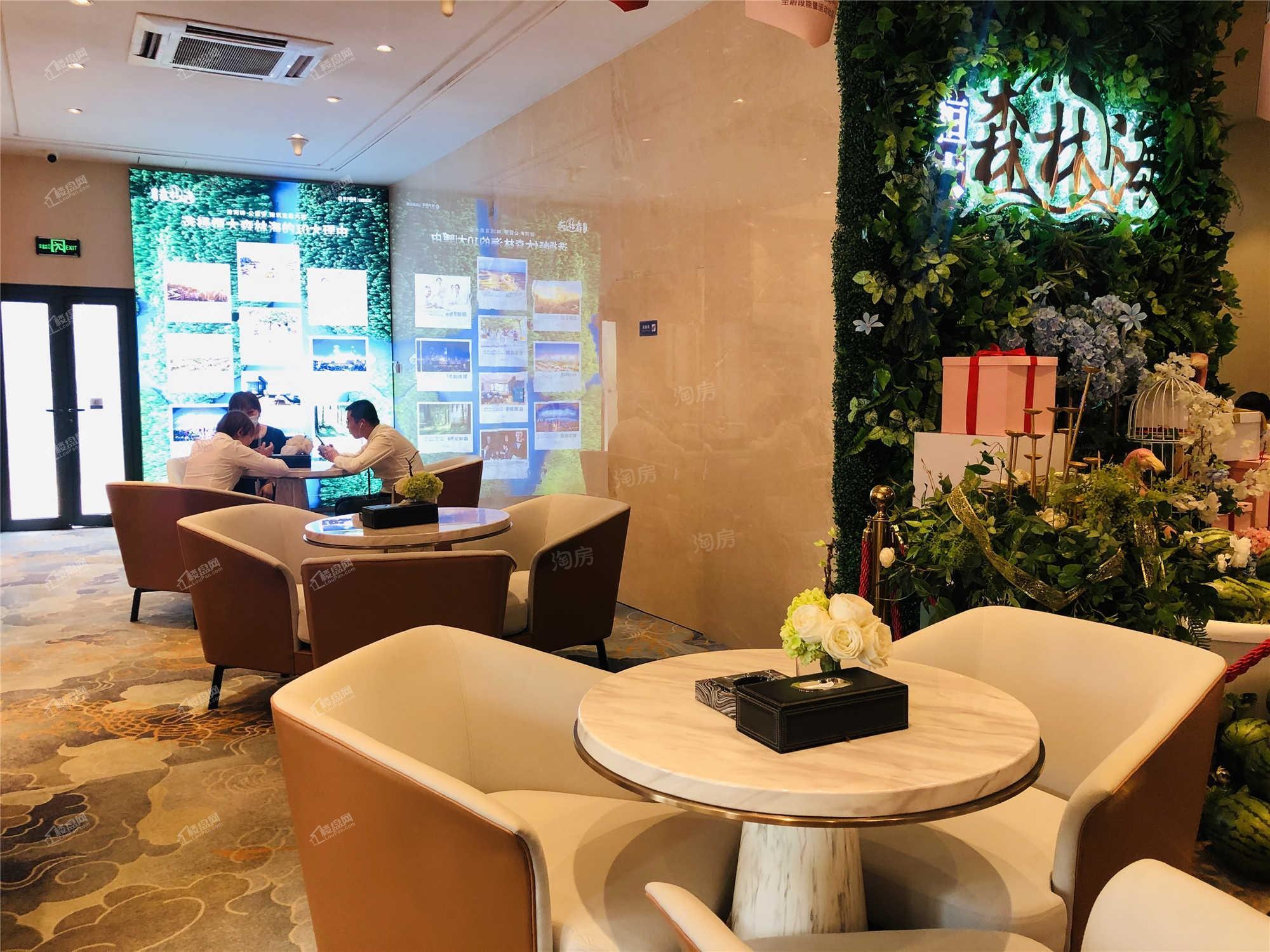 恒大森林海实景图