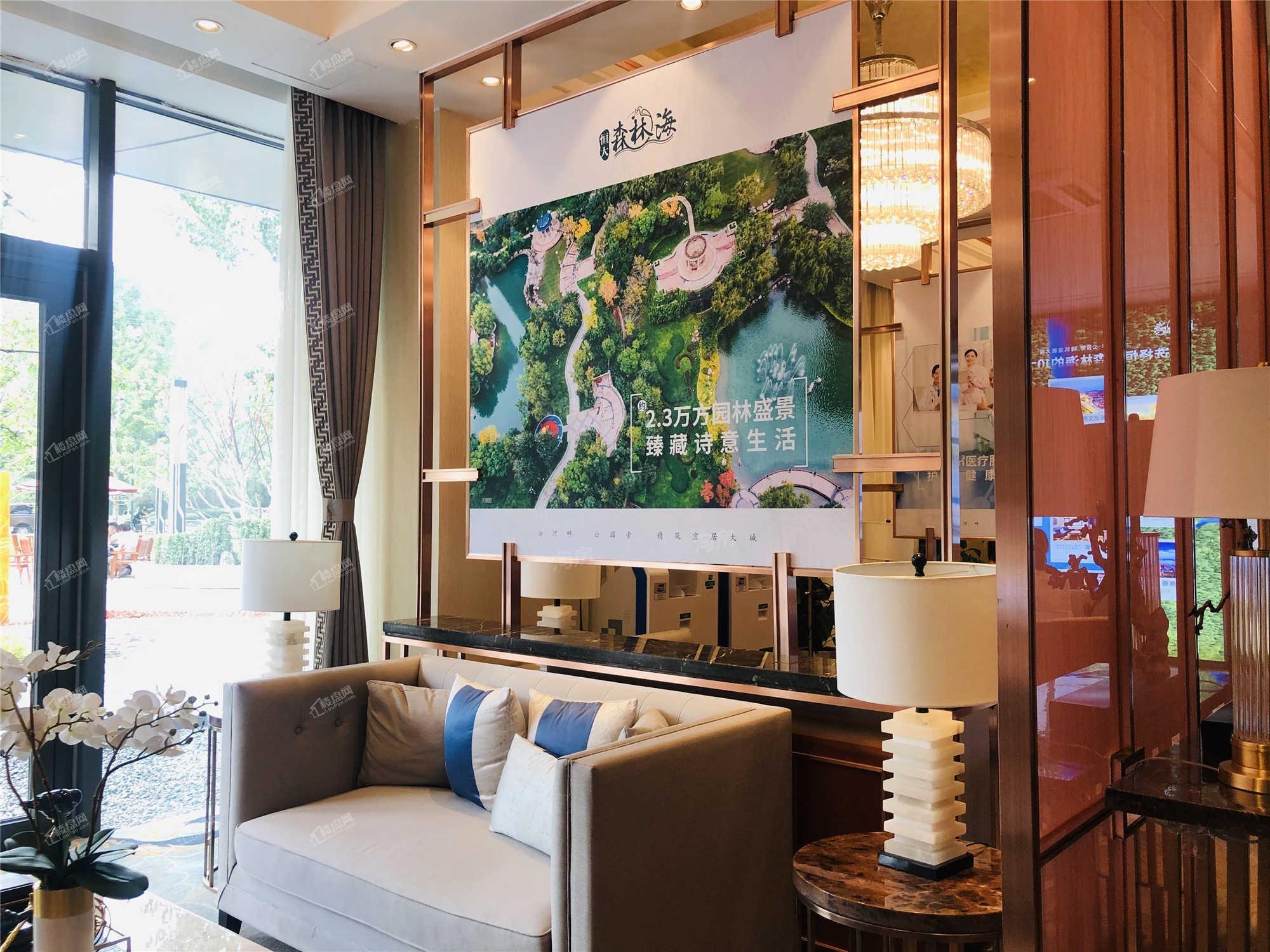 恒大森林海实景图