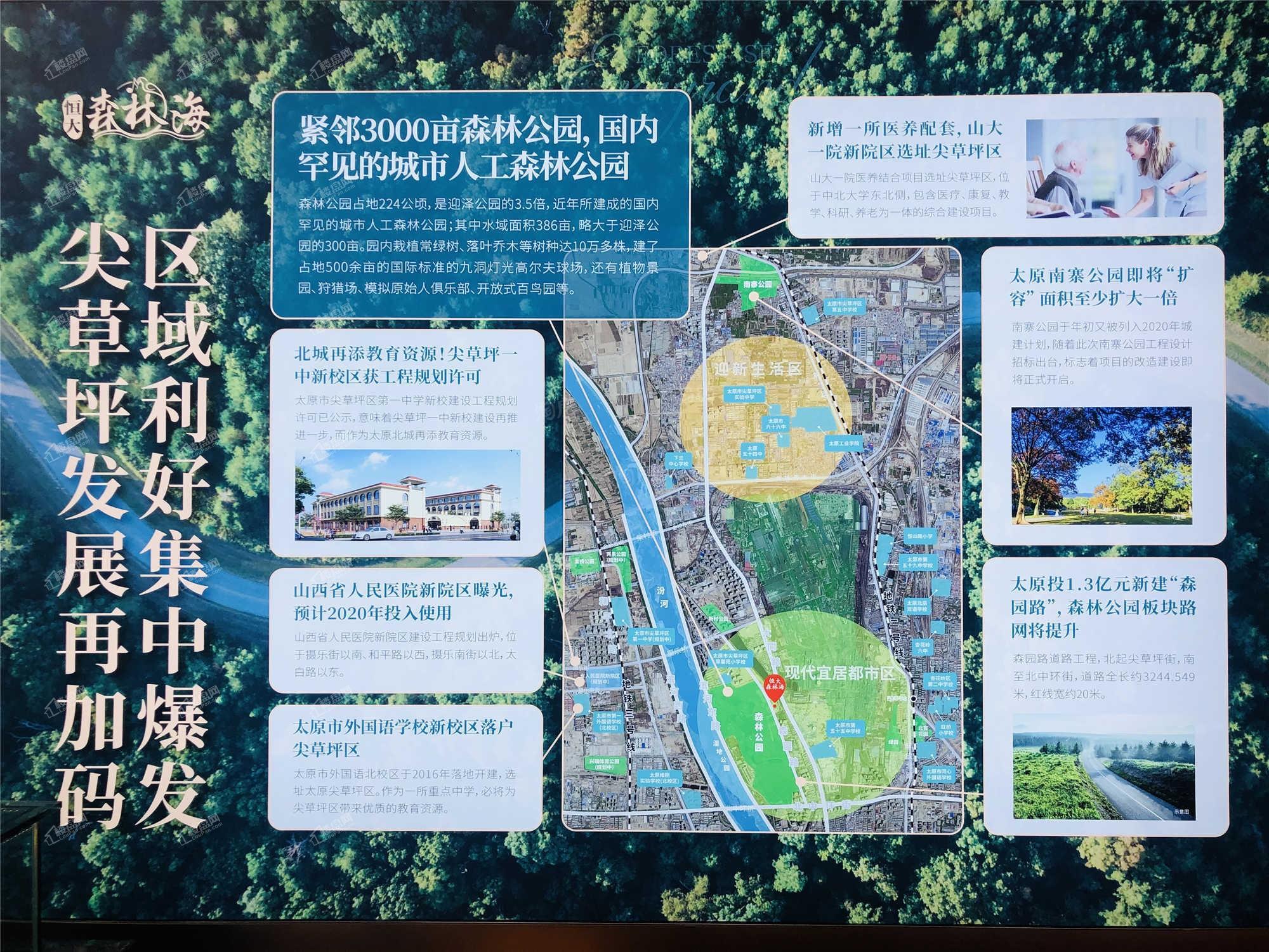 恒大森林海实景图