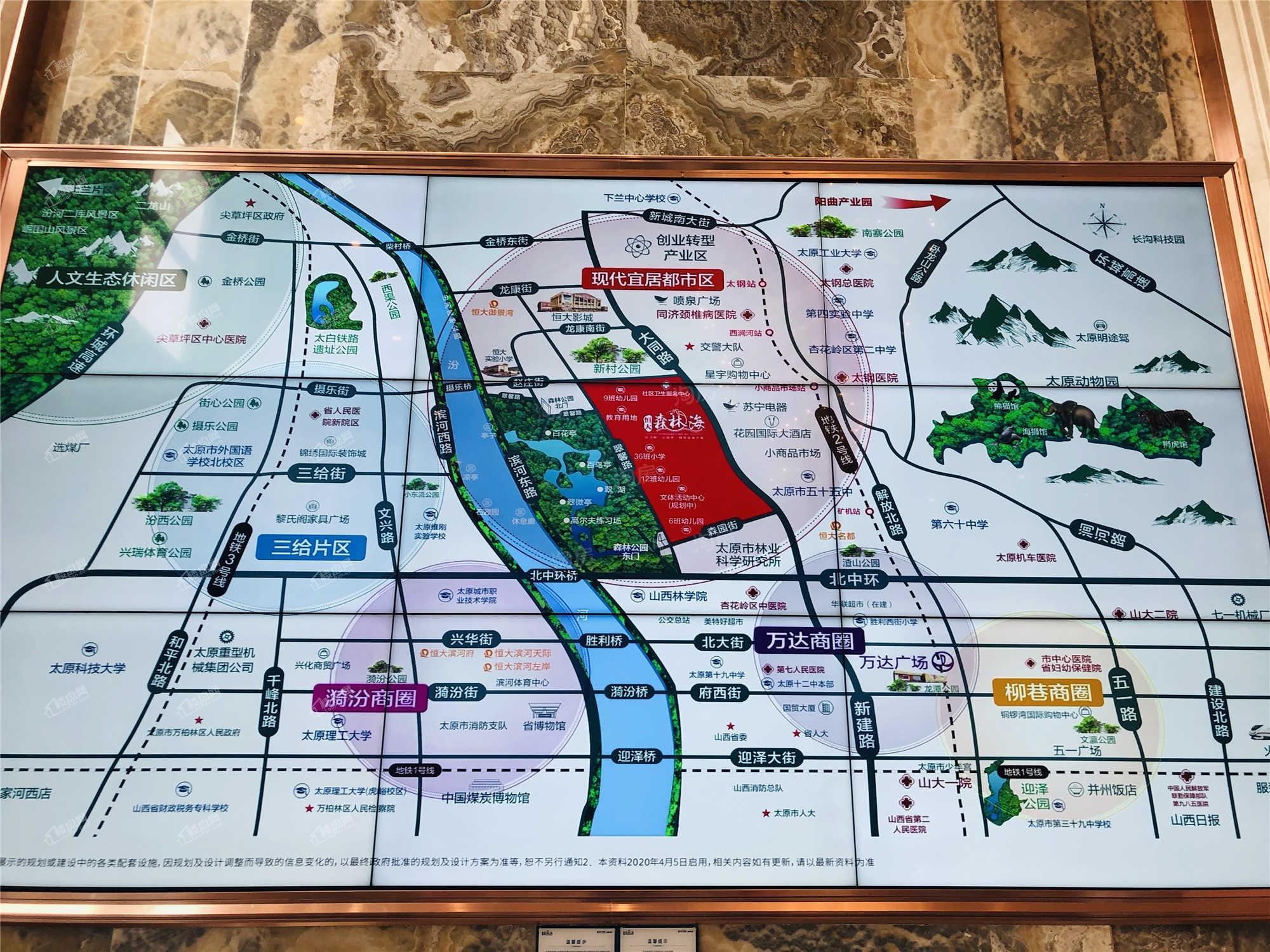 恒大森林海实景图