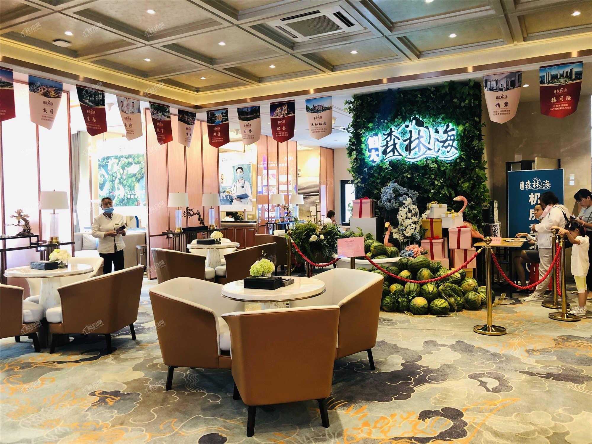 恒大森林海实景图