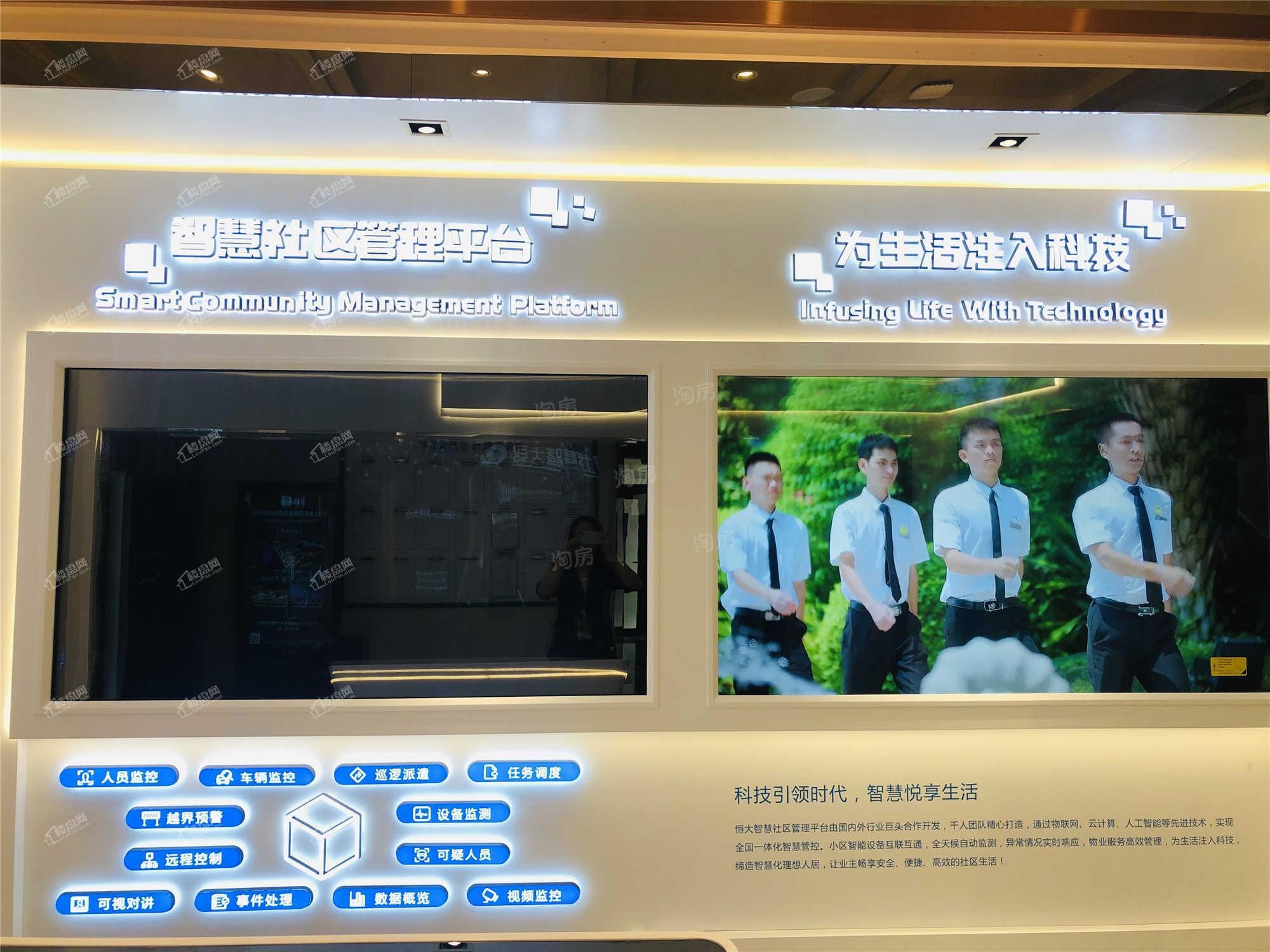 恒大森林海实景图