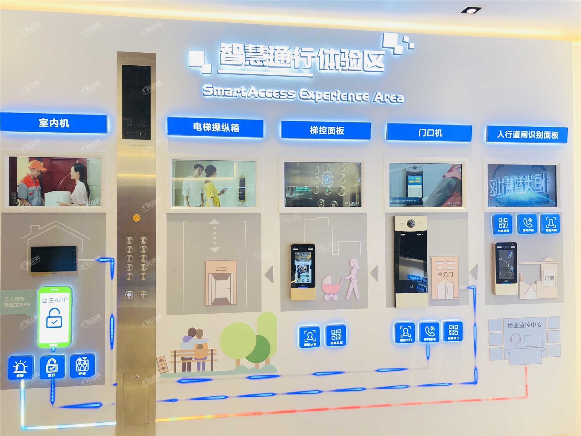 恒大森林海实景图