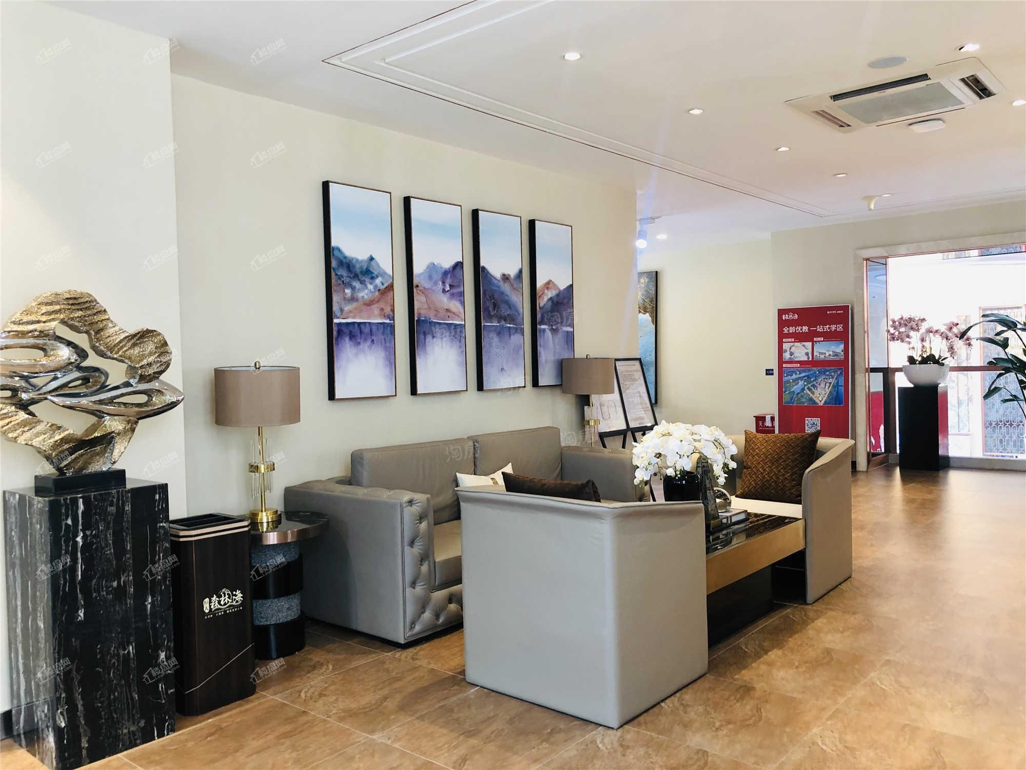 恒大森林海实景图