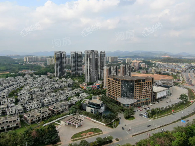 实景图
