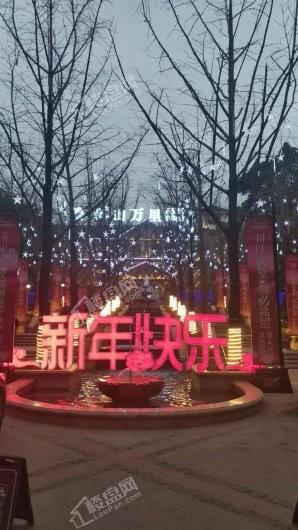 实景图