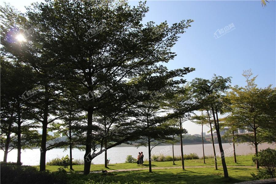 龍胤花园实景图