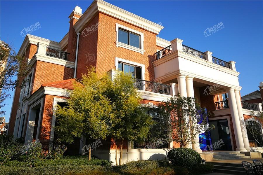 龍胤花园实景图