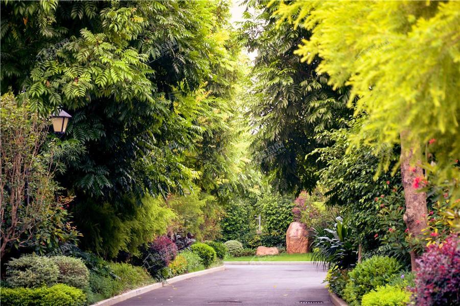龍胤花园实景图