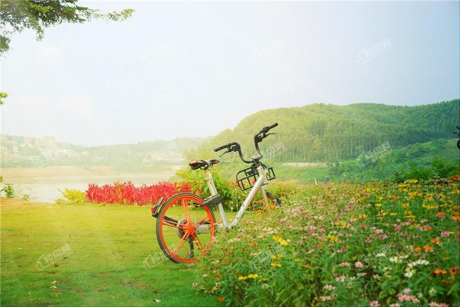 龍胤花园实景图