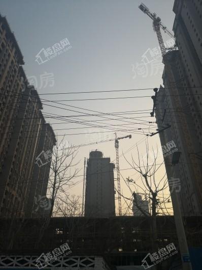 真实·桃园里实景图