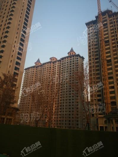 真实·桃园里实景图