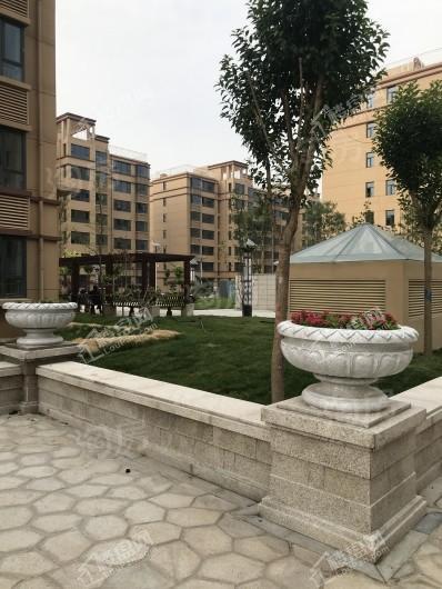 悦庭雅苑实景图