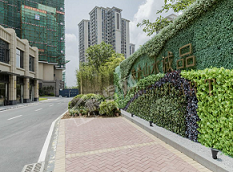 实景图