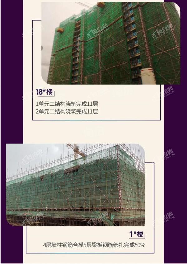 悦桂绿地新世界实景图