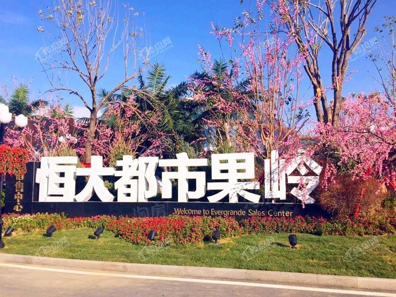实景图