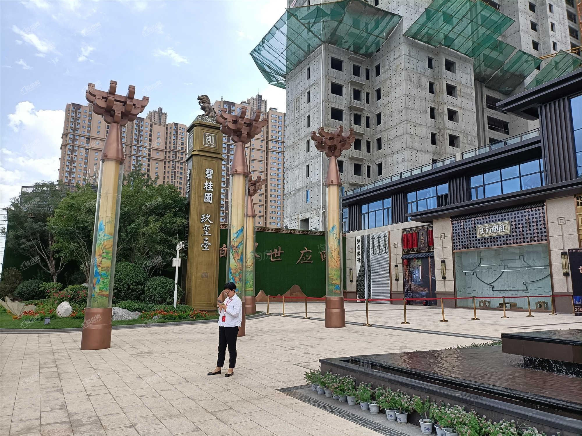 碧桂园玖玺臺实景图