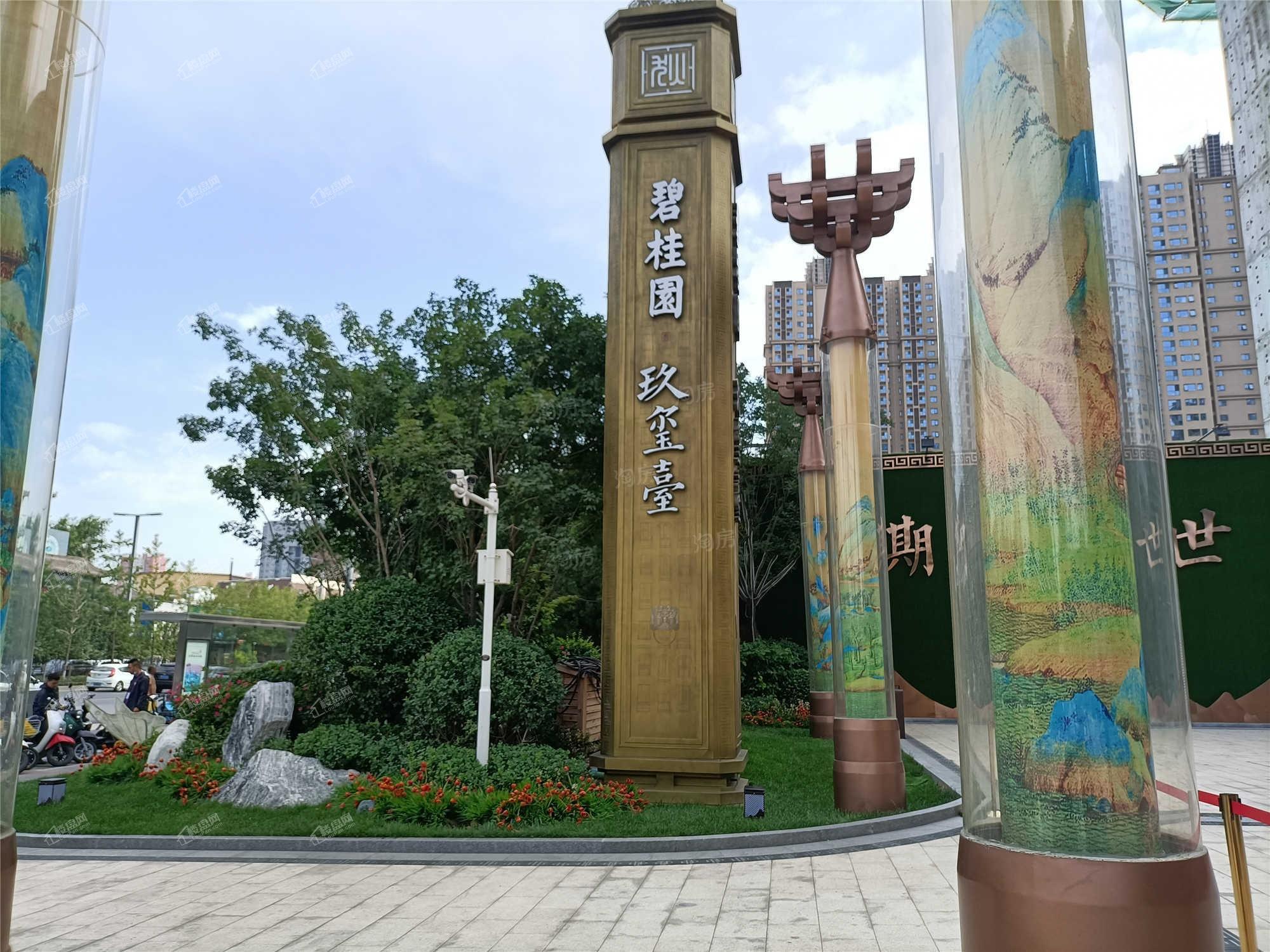 碧桂园玖玺臺实景图