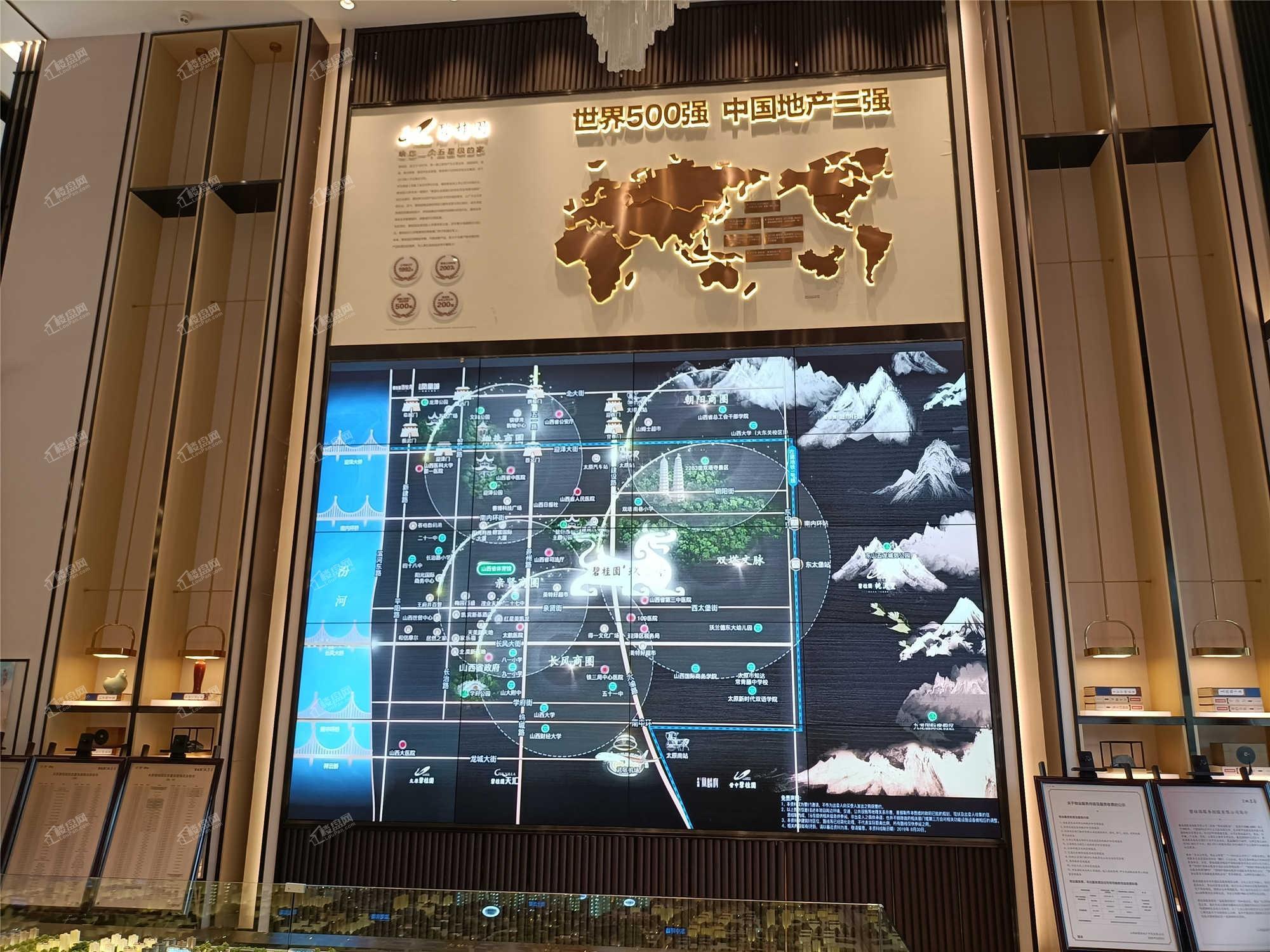 碧桂园玖玺臺实景图