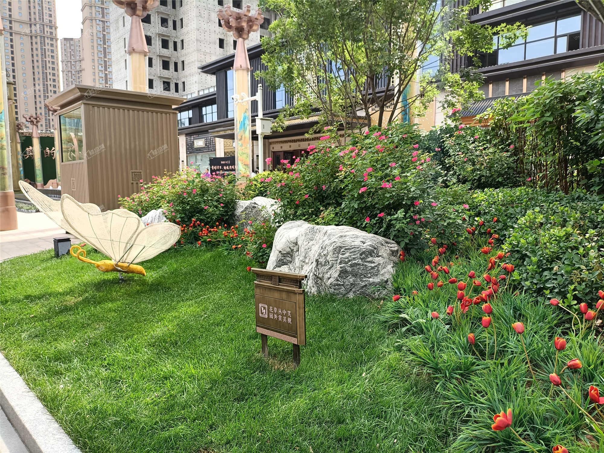 碧桂园玖玺臺实景图