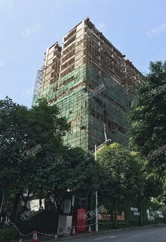 荣顾书香门第实景图
