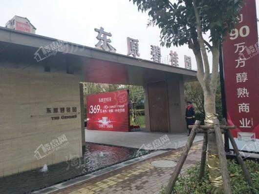 东原碧桂园实景图