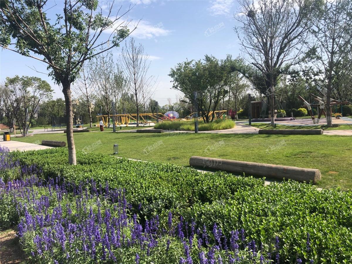 万科春和景明实景图
