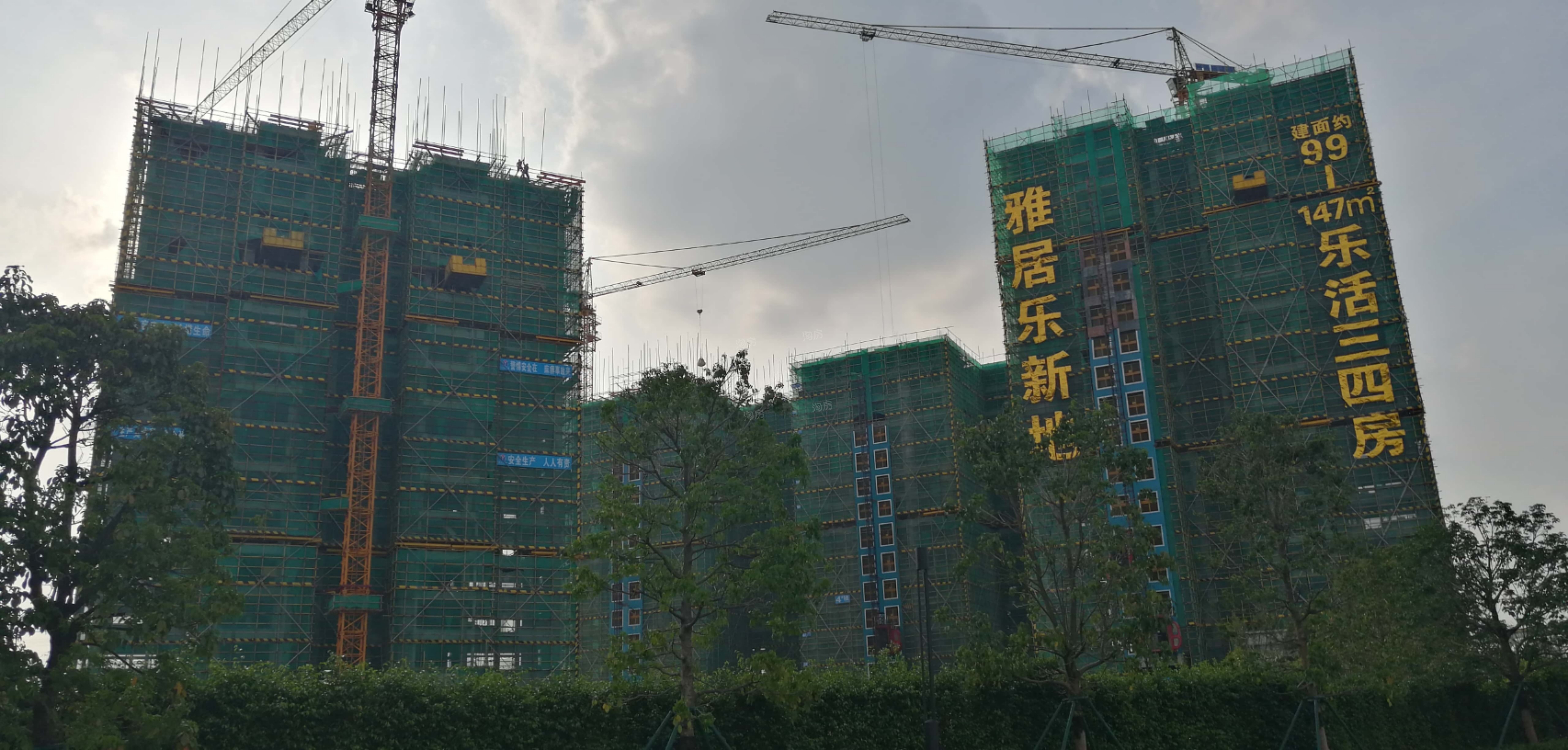 实景图