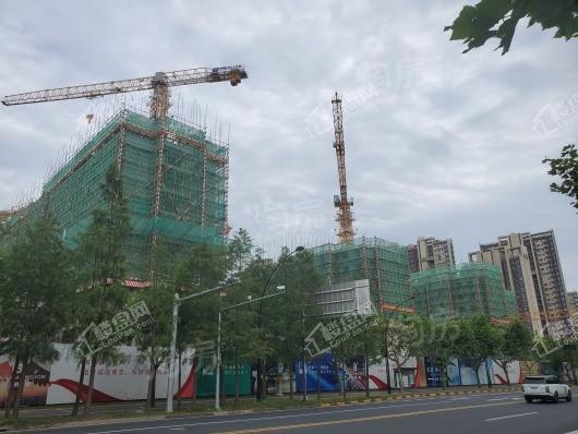 云栖麓实景图