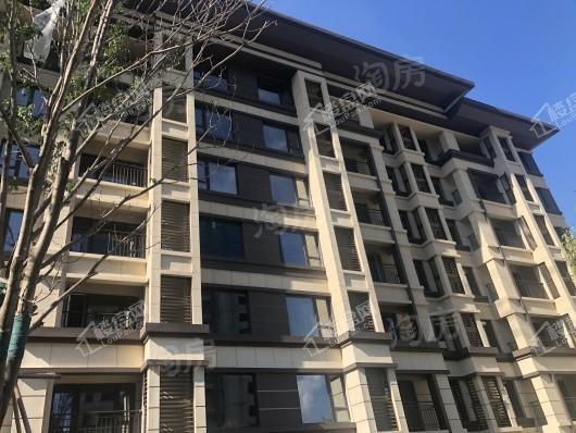 金科集美天城实景图