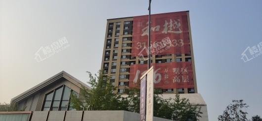 中南旭辉和樾实景图