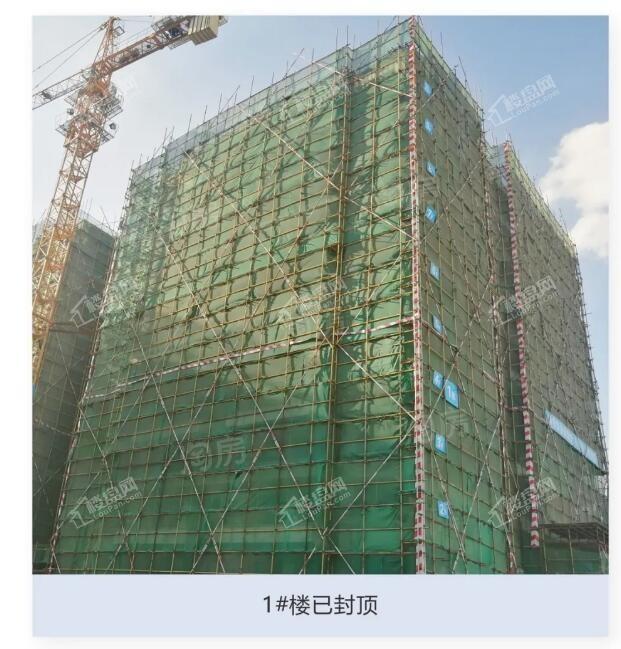 实景图