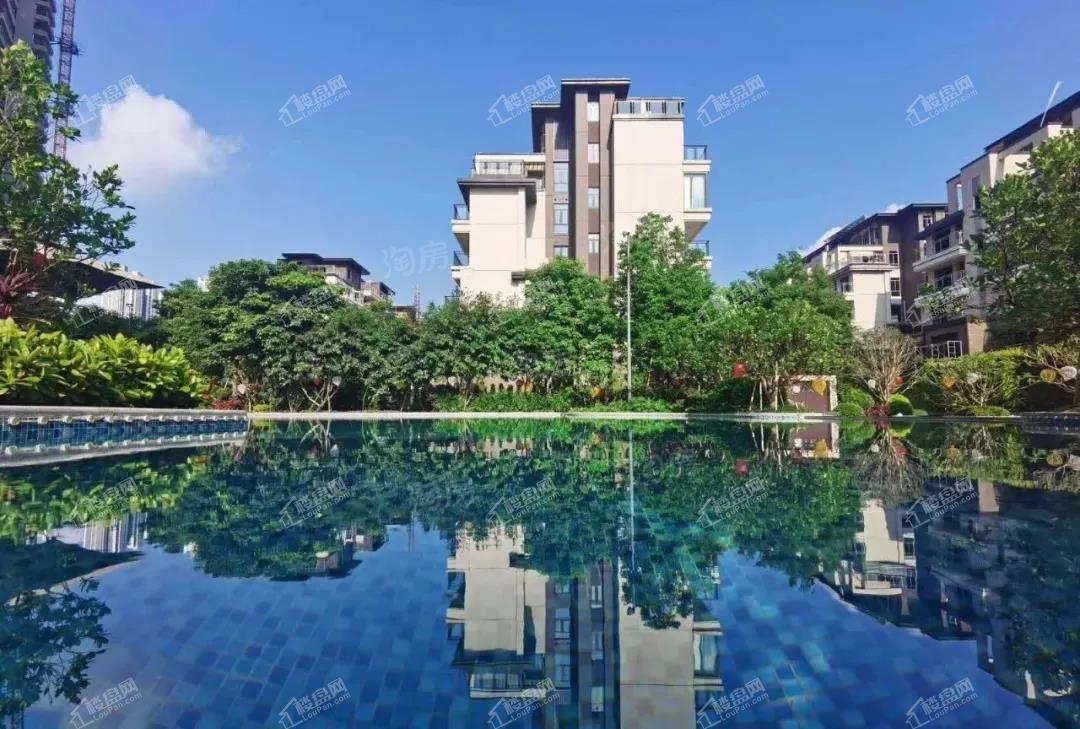 唐樾青山实景图