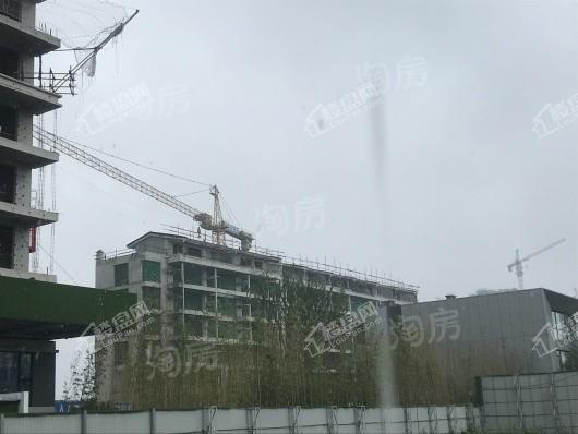 永威枫林上院实景图