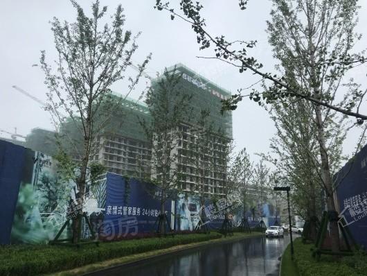 永威枫林上院实景图
