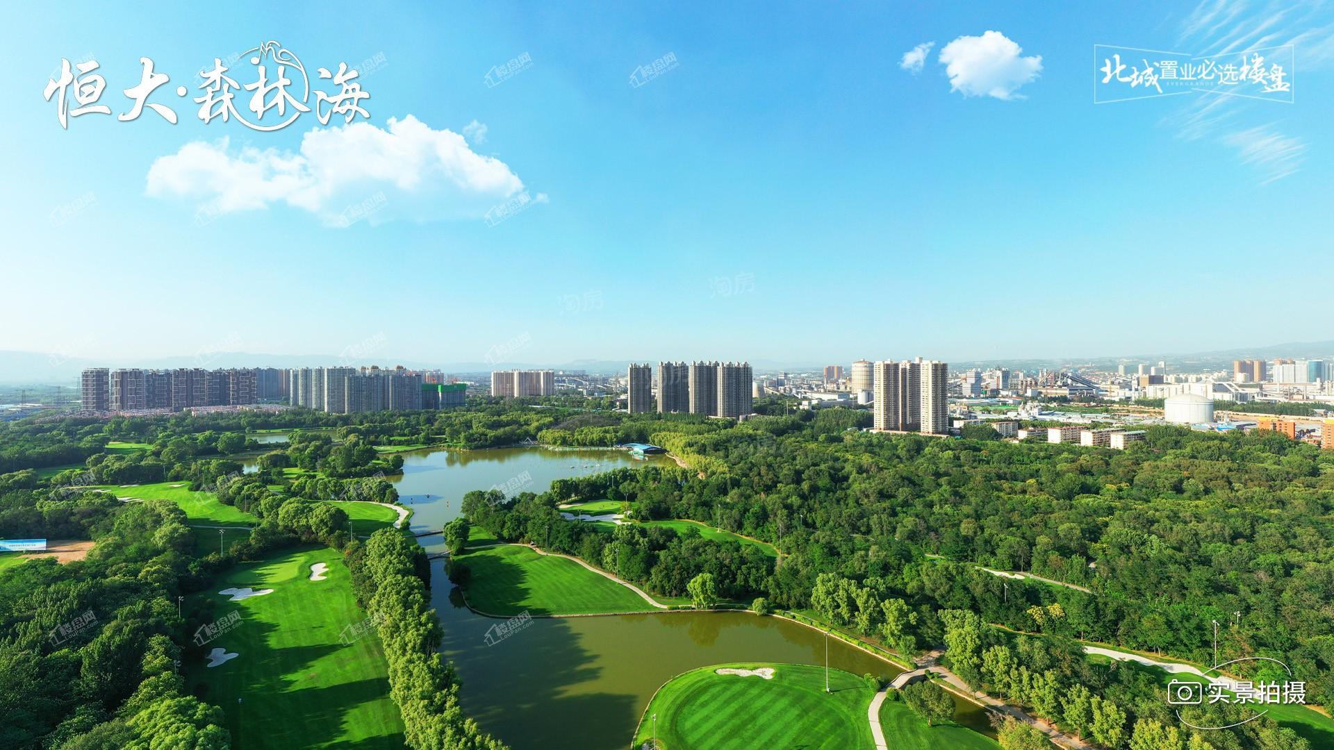 恒大森林海实景图