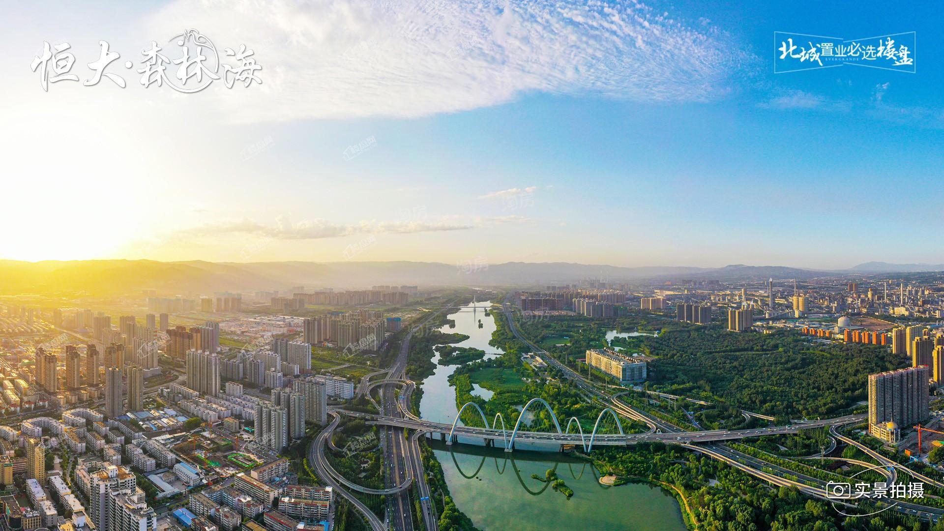 恒大森林海实景图