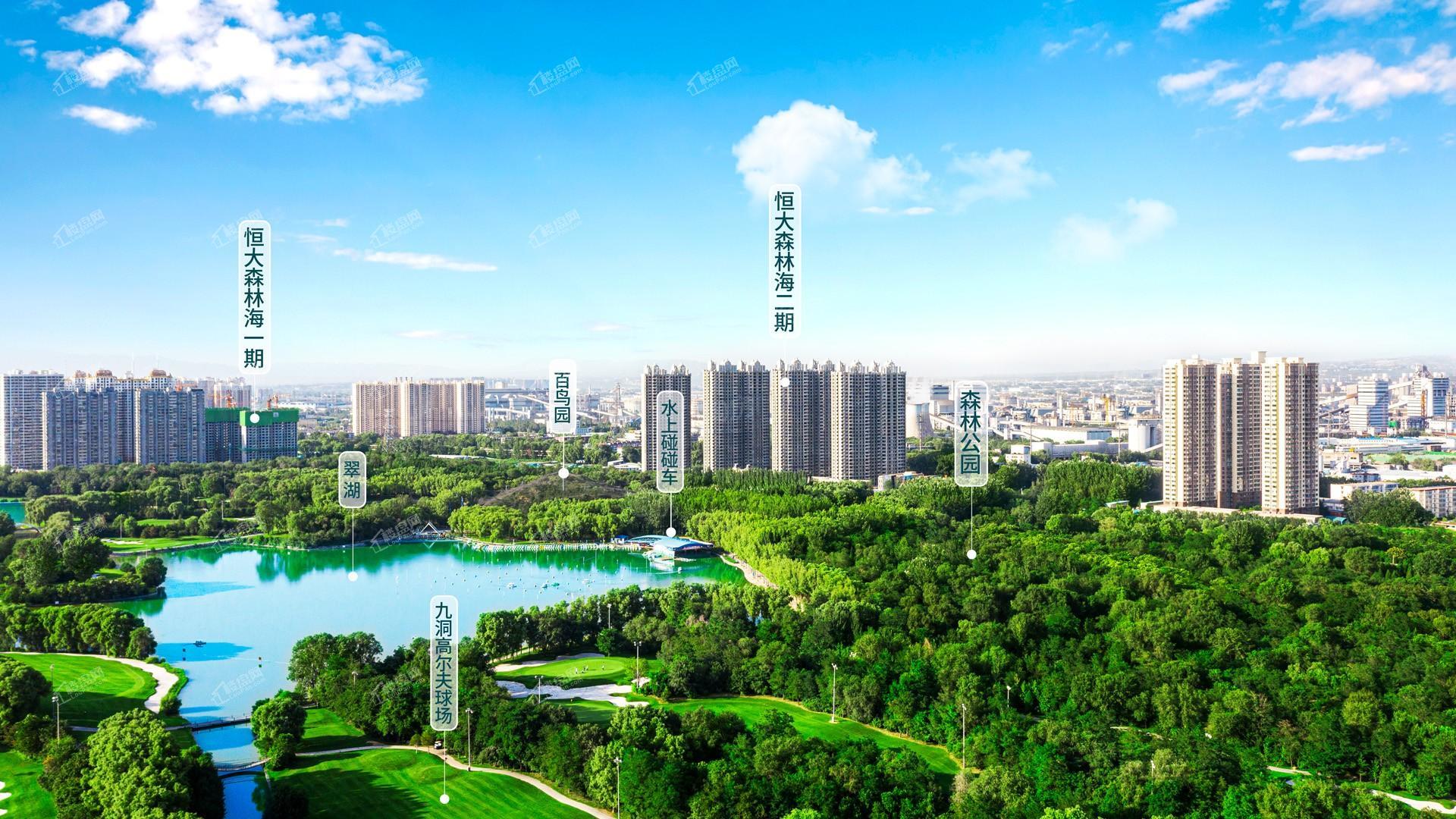 恒大森林海实景图