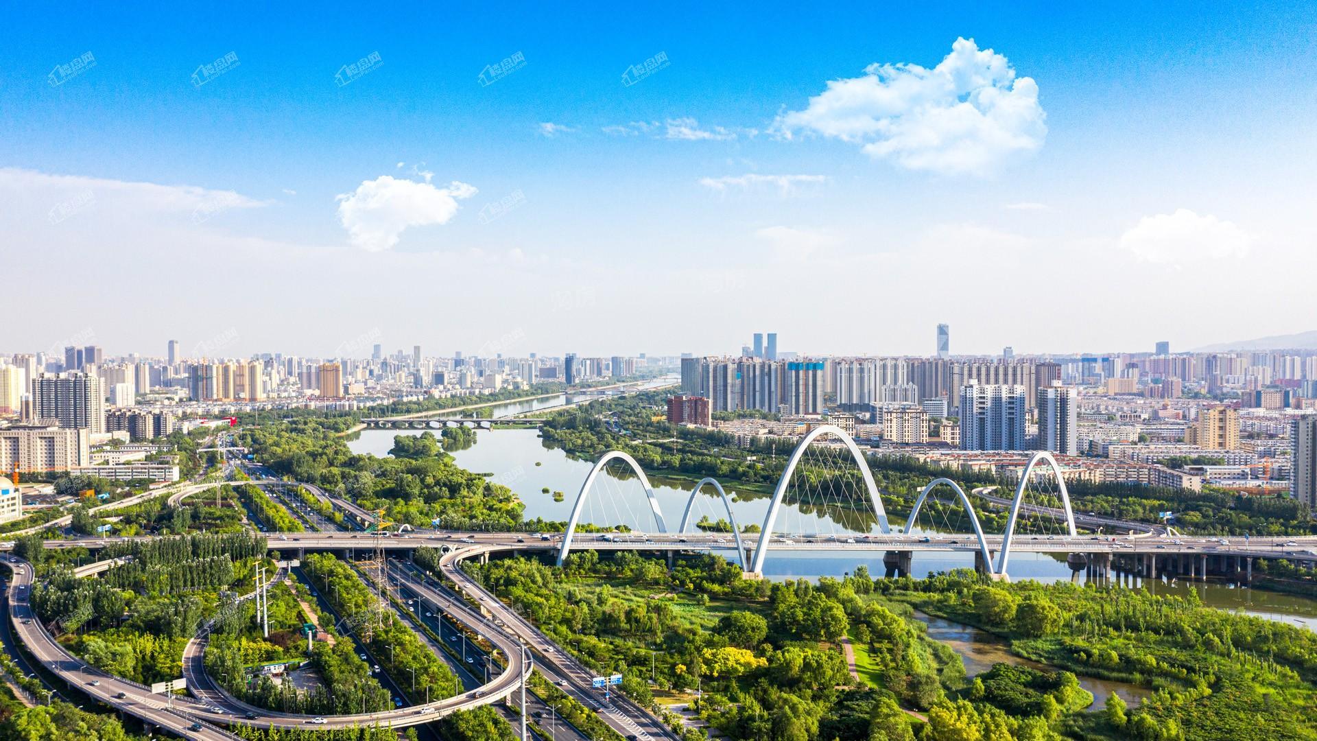 恒大森林海实景图