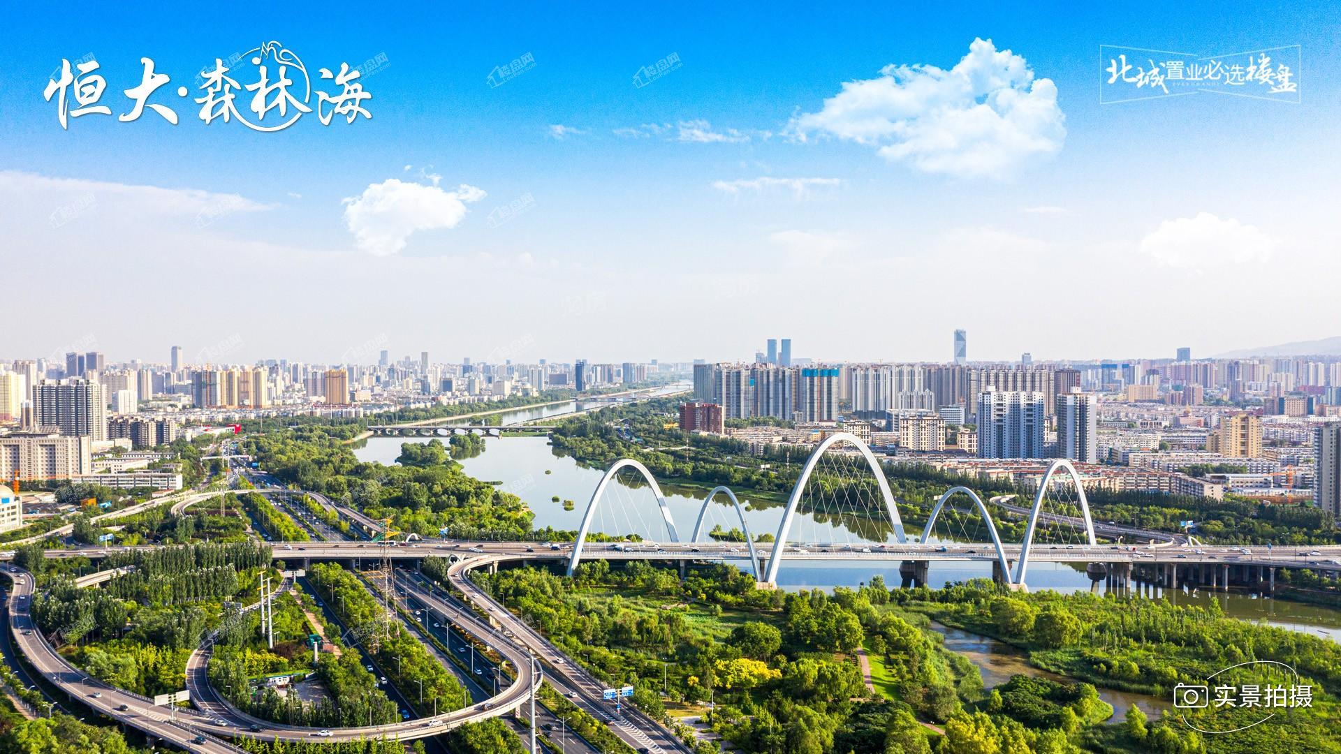 恒大森林海实景图