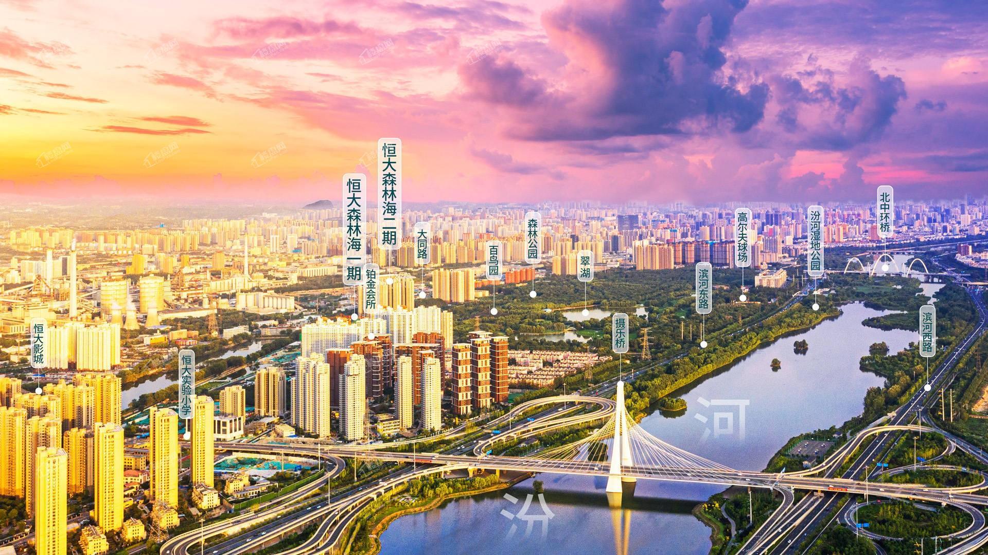 恒大森林海实景图