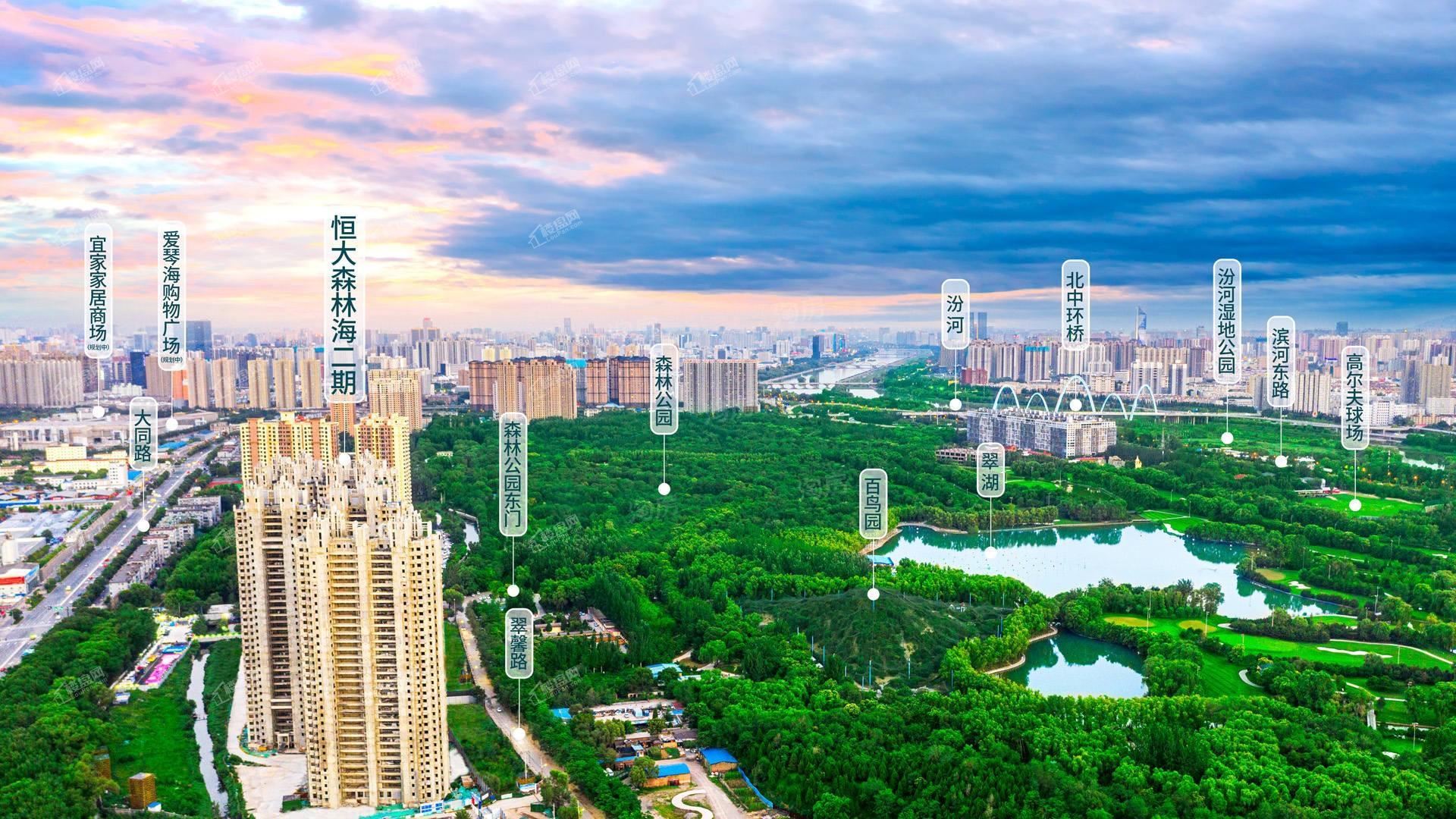 恒大森林海实景图