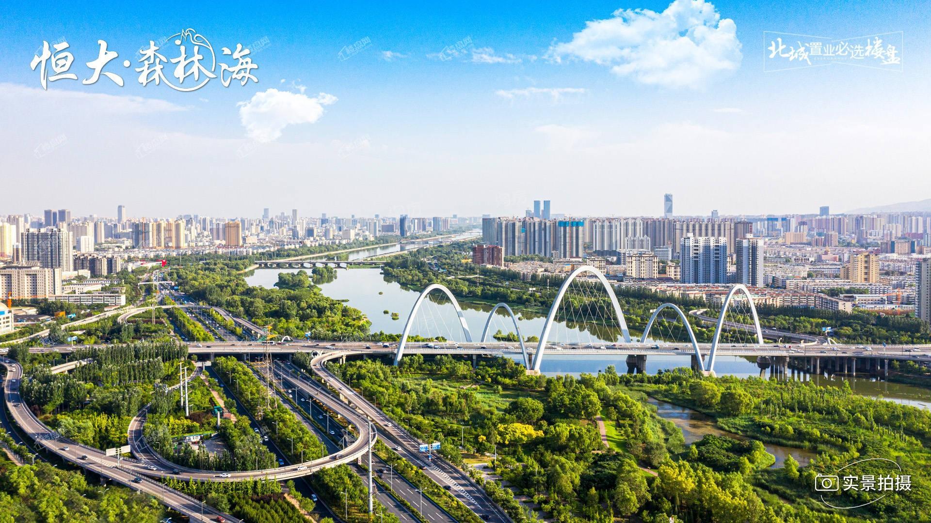 恒大森林海实景图