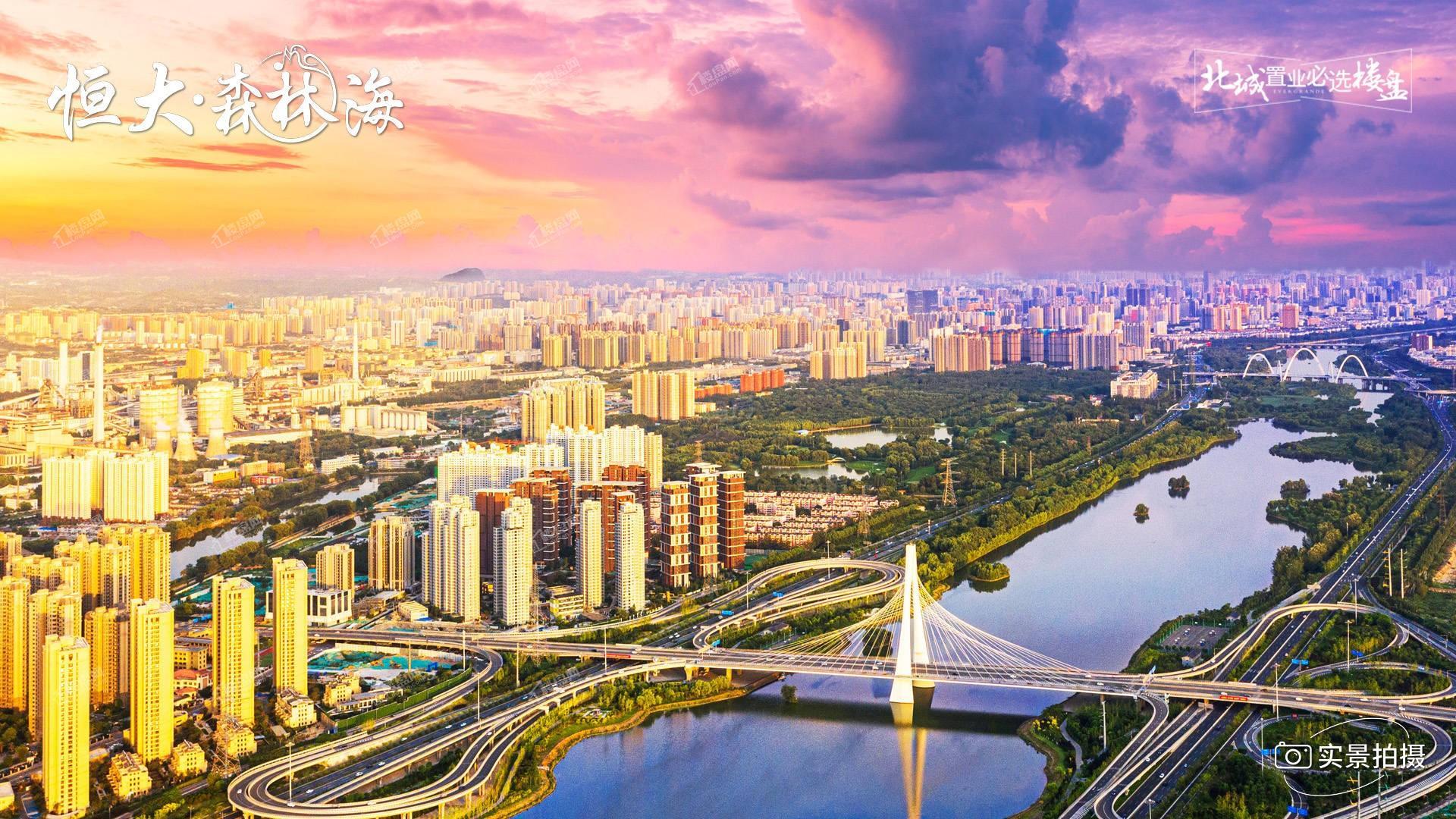 恒大森林海实景图