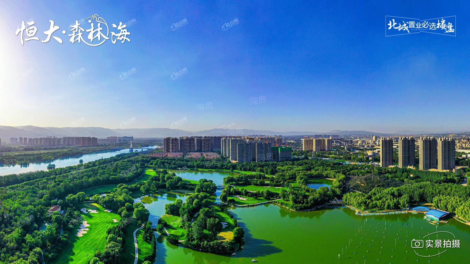 恒大森林海实景图