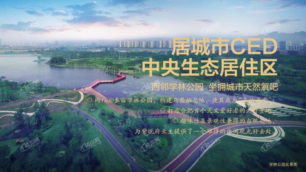 华地紫悦府效果图