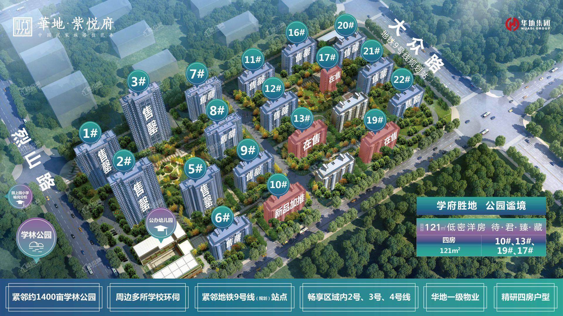 效果图